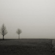 Bridgeport Fog
