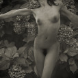 Nude with Hydrangea