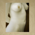 Wax Torso 19