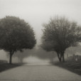 Norwalk Fog