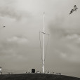 Lone Kite Watcher