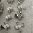 Washington Square Diners