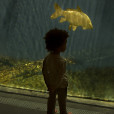 The Big Yellow Fish