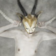 Antelope